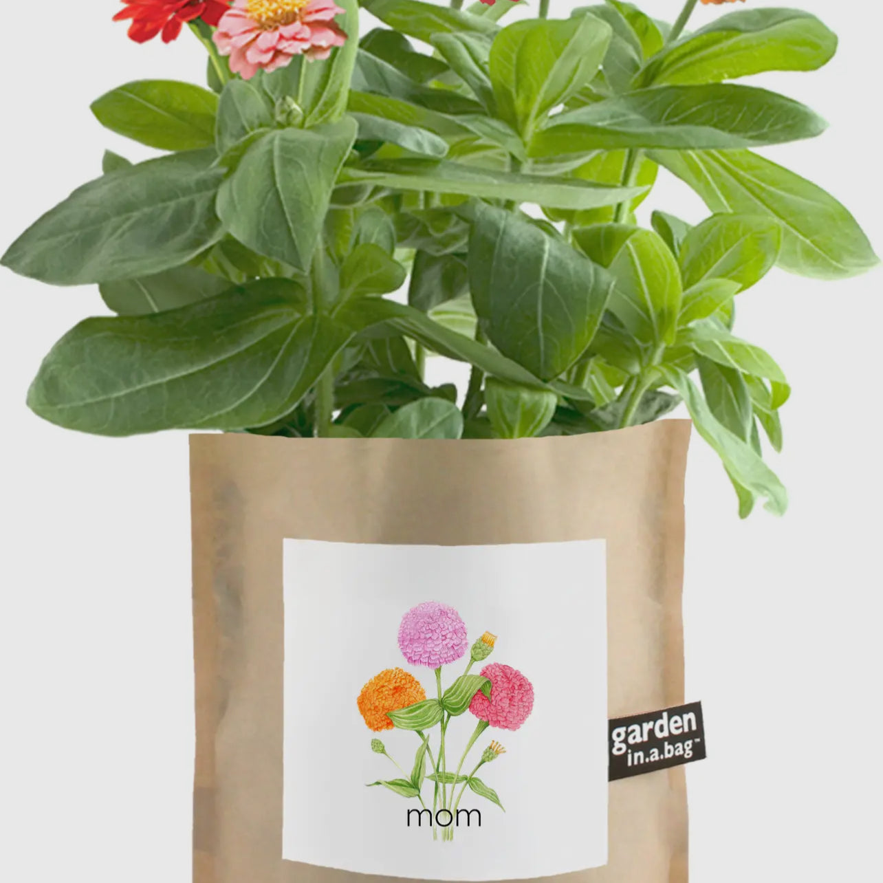 Garden In a Bag-Multi