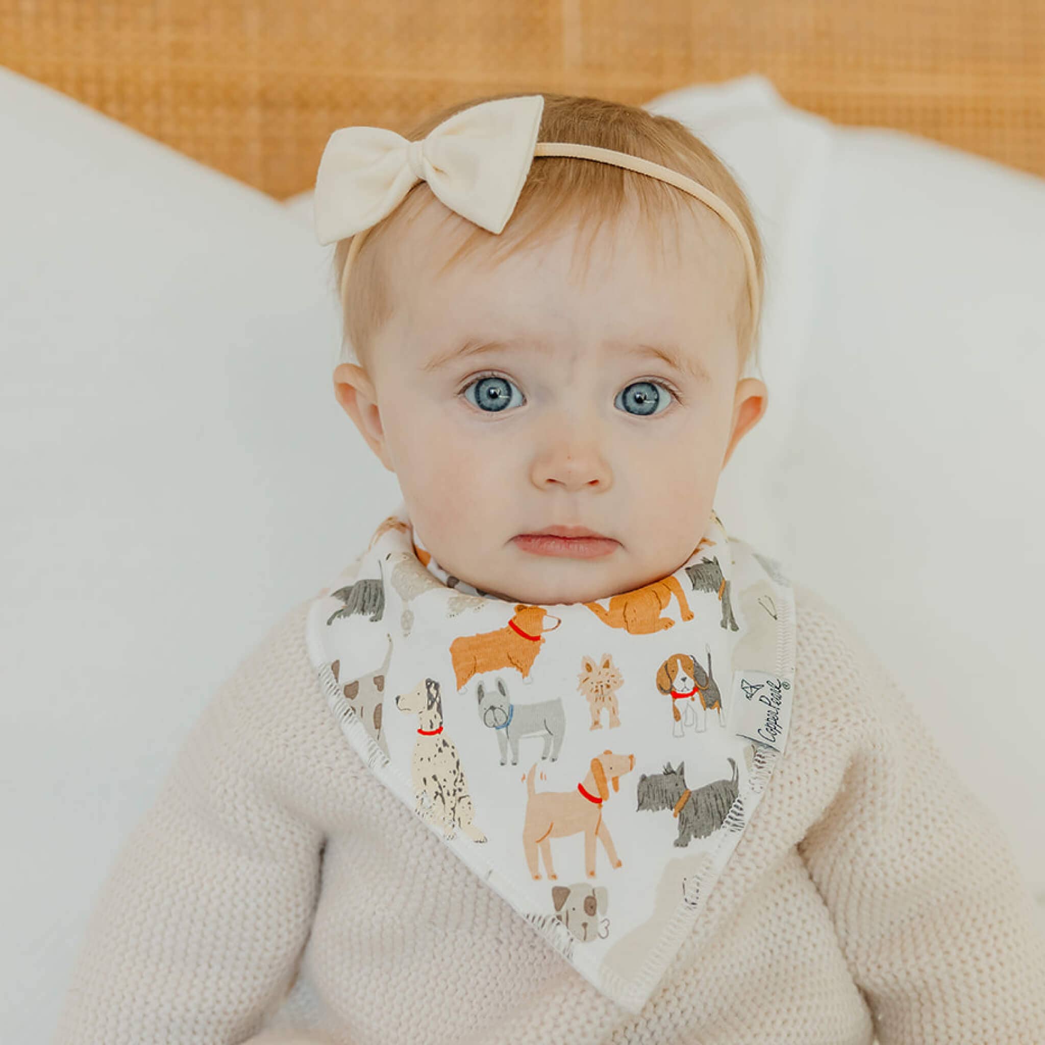 4 Pack Baby Bandana Bibs - Rufus