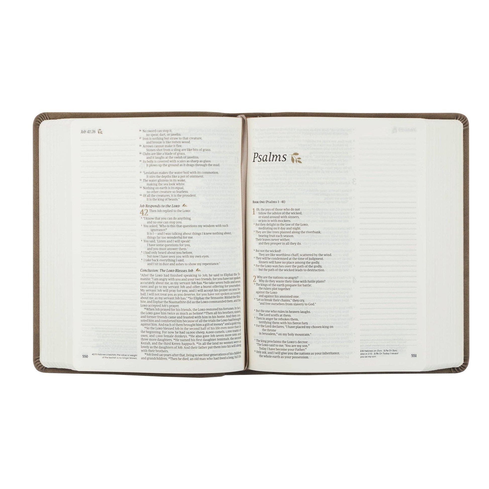 NLT Notetaking Bible: Marlo Theme