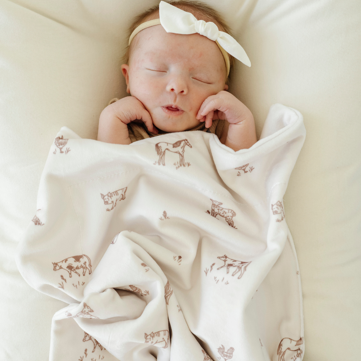 SARANONI MINKY STRETCH MINI BLANKETS