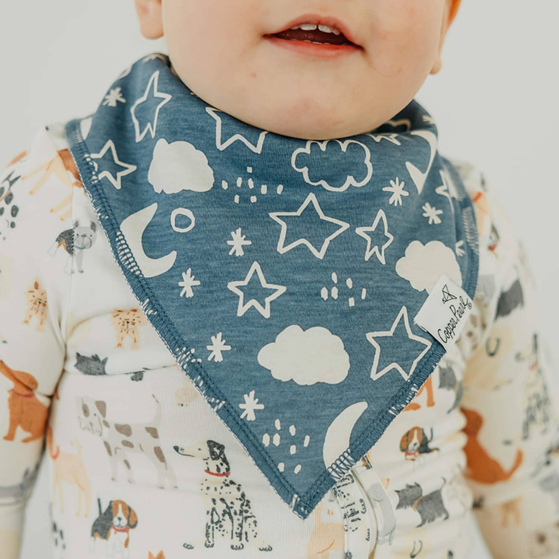 4 Pack Baby Bandana Bibs - Rufus
