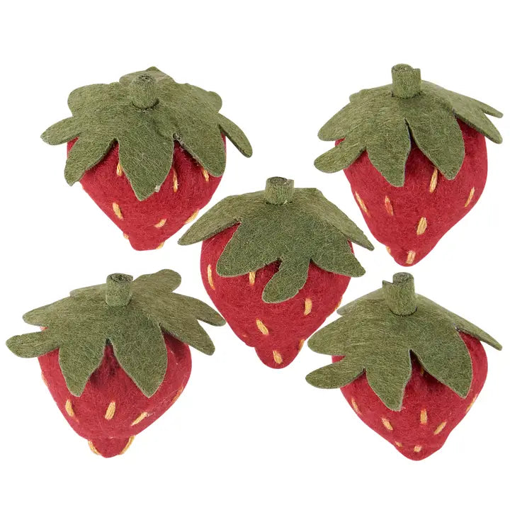 Strawberry Magnet Set