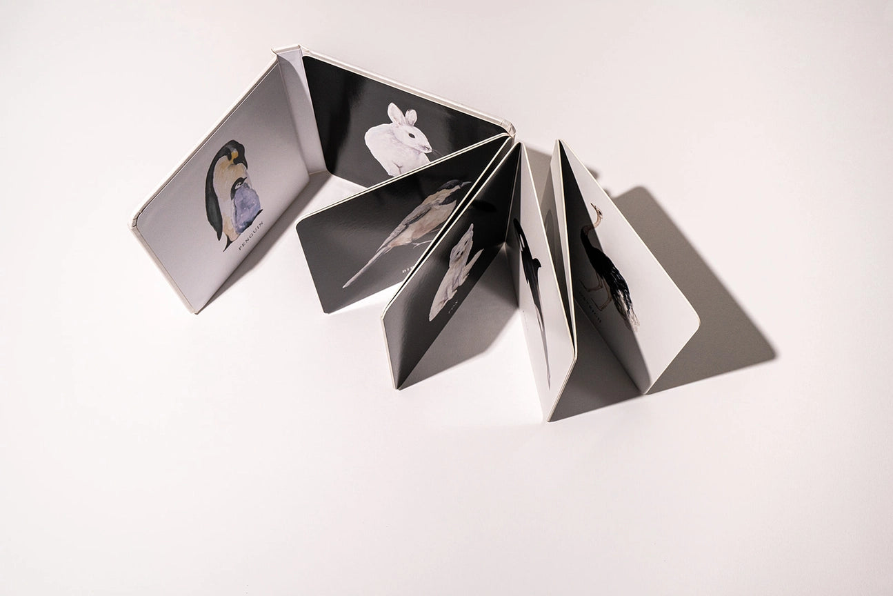 Black and White Contrast Book For Baby