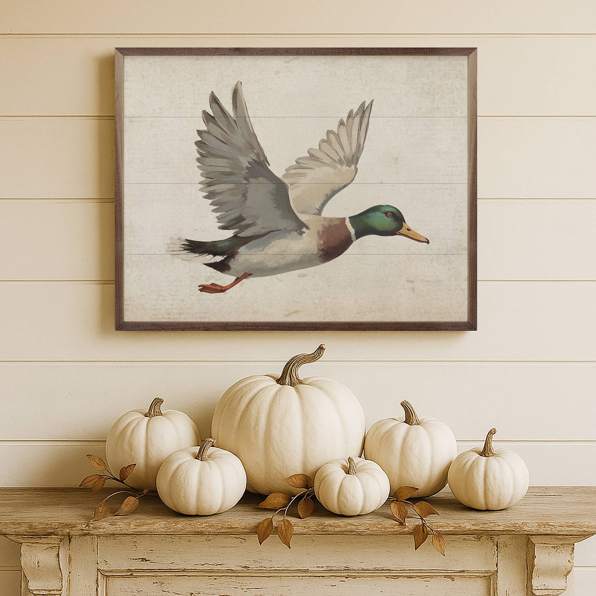 Duck