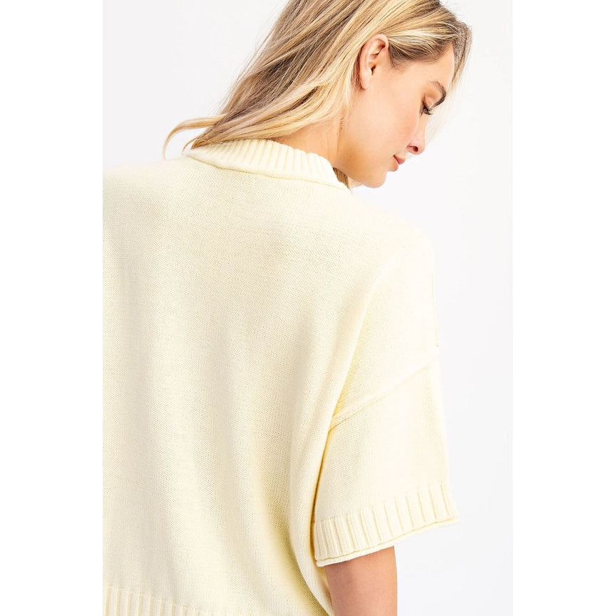 Cotierra Oversized Crewneck Short Sleeve Sweater