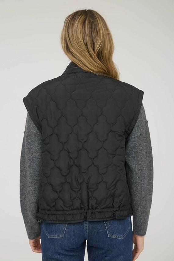 Blu Pepper Black Quilted Puffer Vest