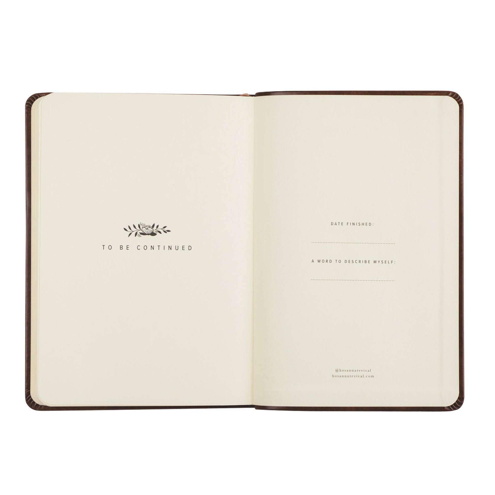 Notebook: Aurora Theme
