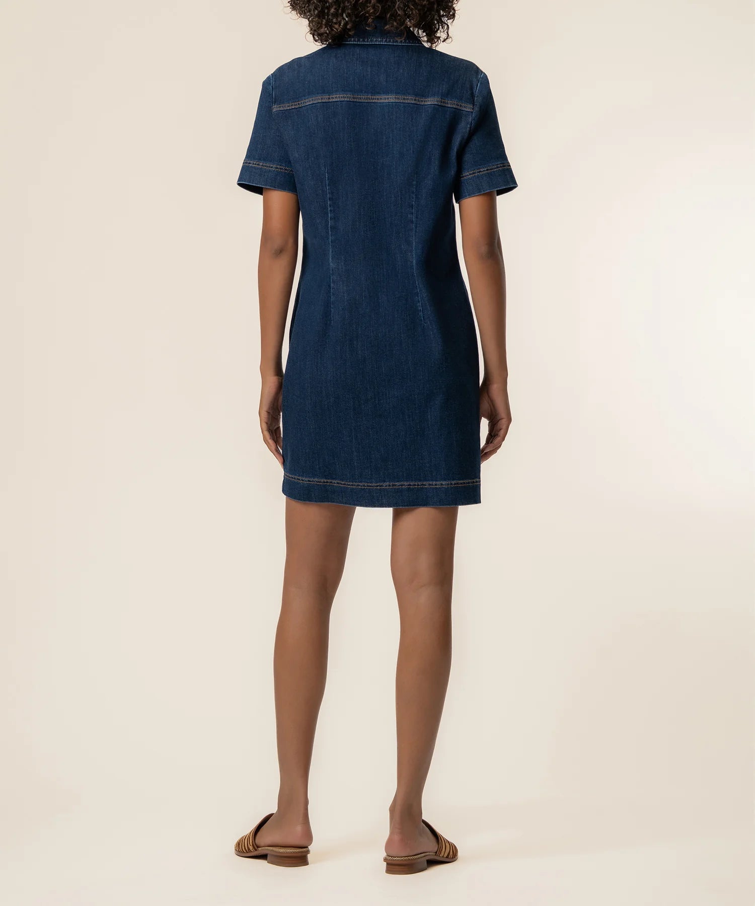 Tatiana Denim Dress in Plan Wash