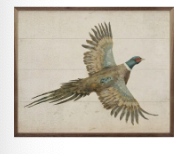 Pheasant 30X24X1 Sign