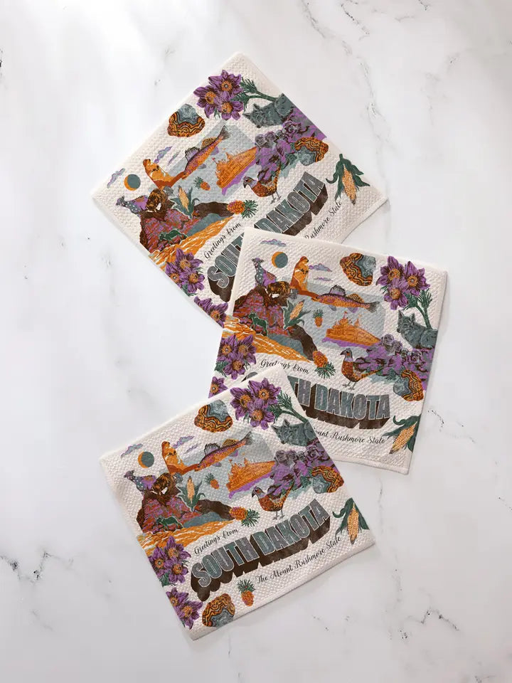 Geometry Dishcloth Sets