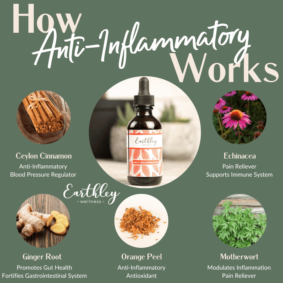 Earthley Anti Inflammatory 4oz