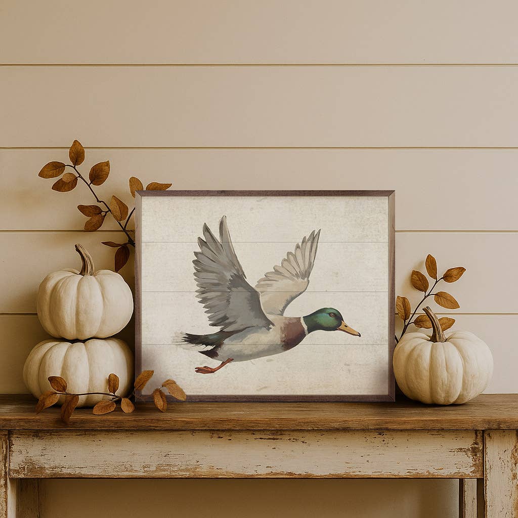 Duck