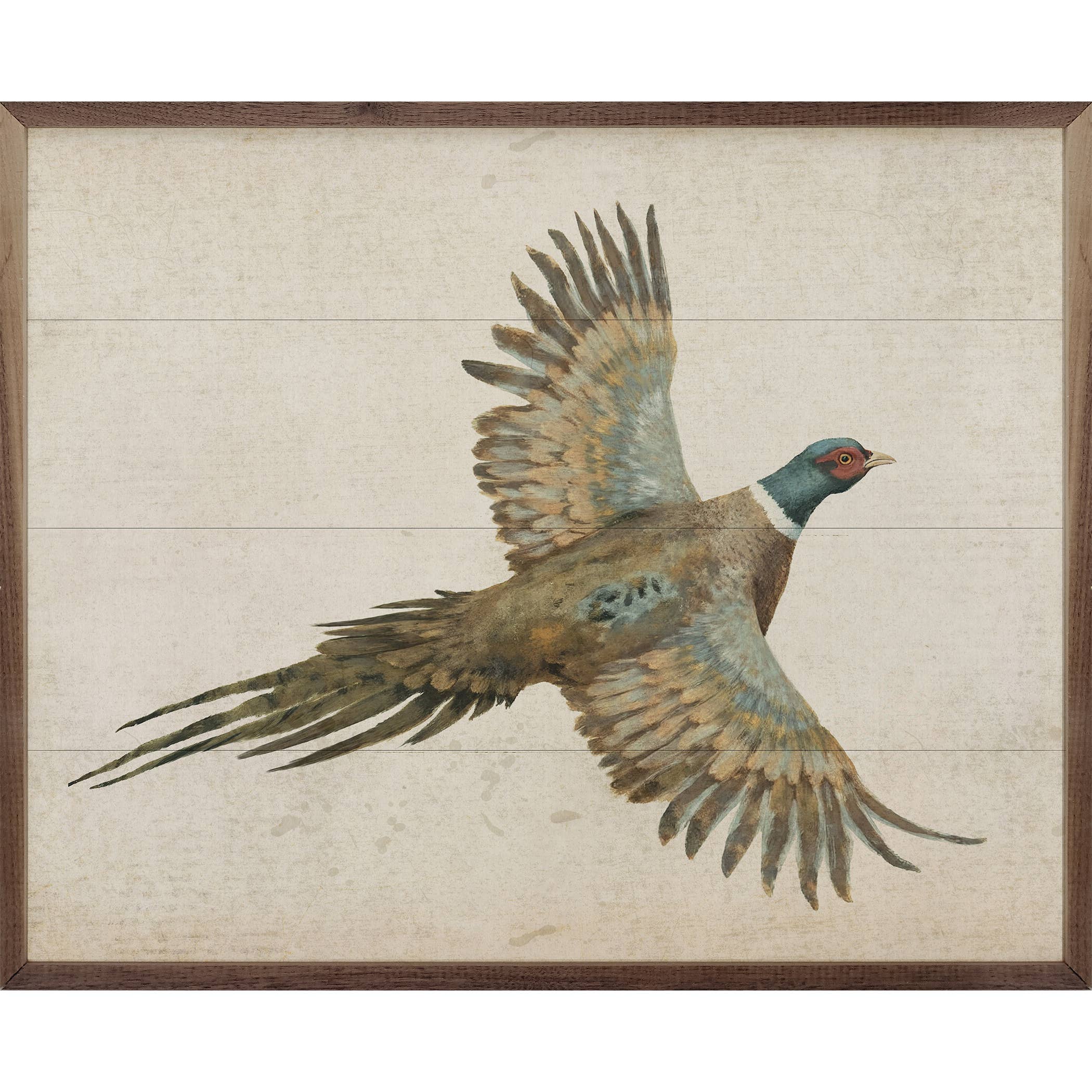 Pheasant