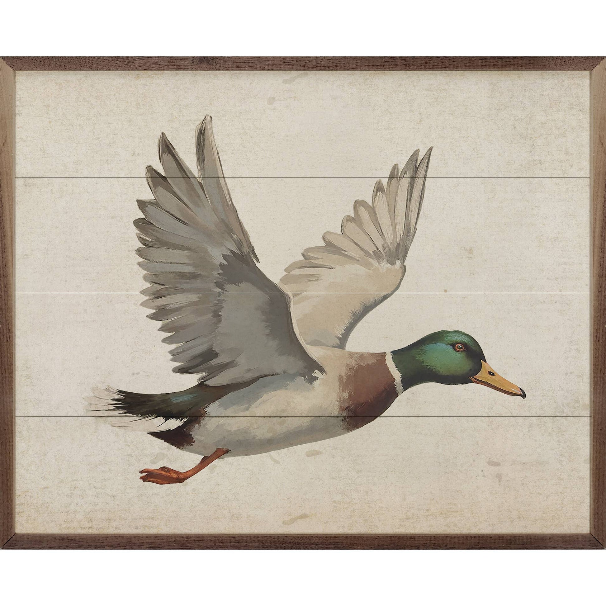 Duck
