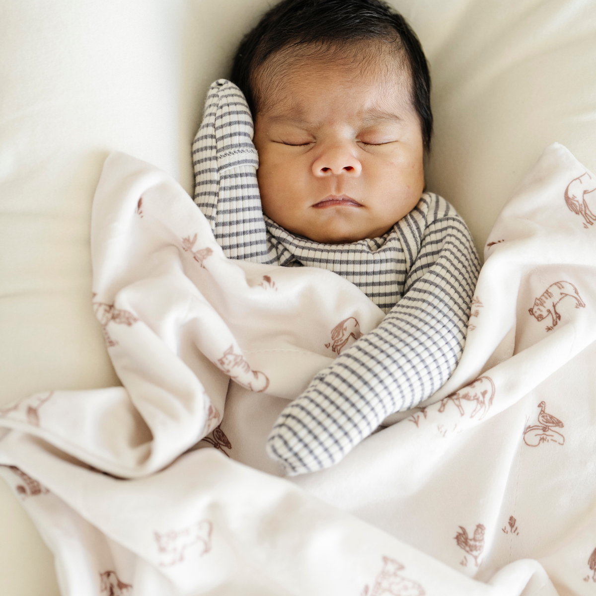 SARANONI MINKY STRETCH MINI BLANKETS