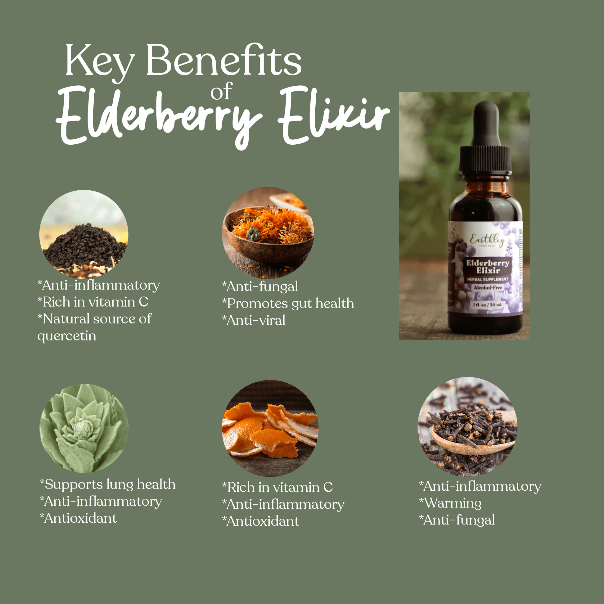 Earthley Elderberry Elixir 4oz (Alcohol Free)